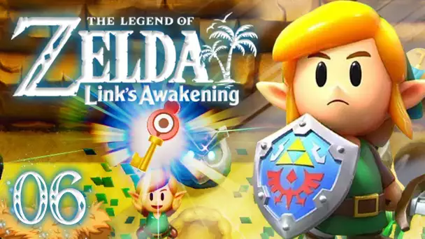 Zelda Link's Awakening HD : Le château Canulet ! #06