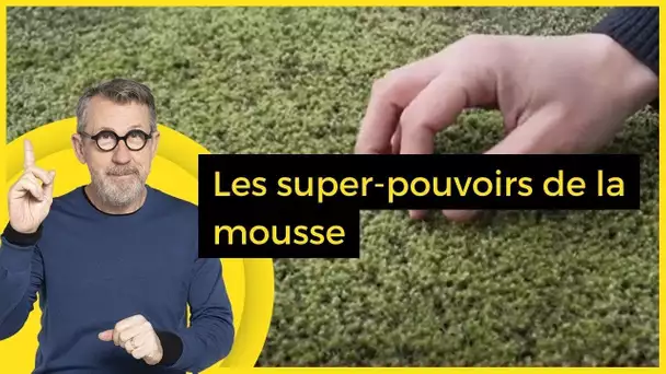 Les super-pouvoirs de la mousse - C Jamy