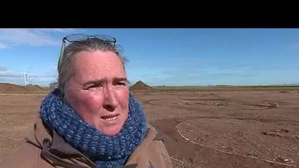 Ensisheim : une nécropole du néolithique mise au jour par des archéologues