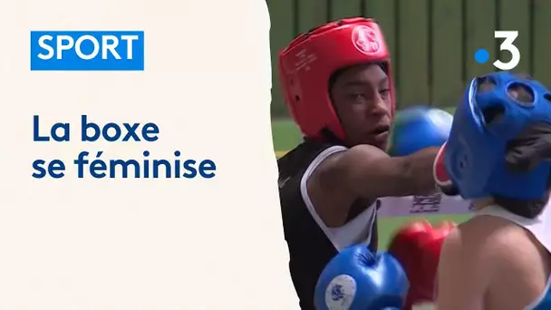 La boxe se féminise : "elles ont autant l'envie que certains gars, on fait boxer tout le monde"