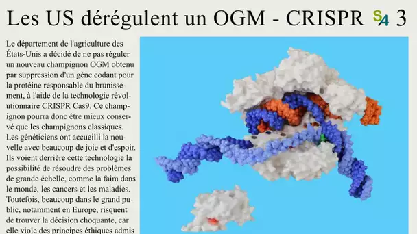 Faut-il autoriser les OGM obtenus par CRISPR ? Actu 3