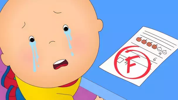 Caillou obtient un F | Caillou en Français | WildBrain Enfants