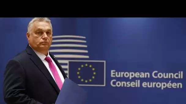 Orban lance une nouvelle consultation anti-UE