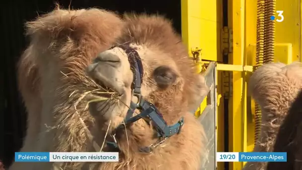 A Digne-les-Bains : le cirque franco-belge se défend de toute maltraitance animale