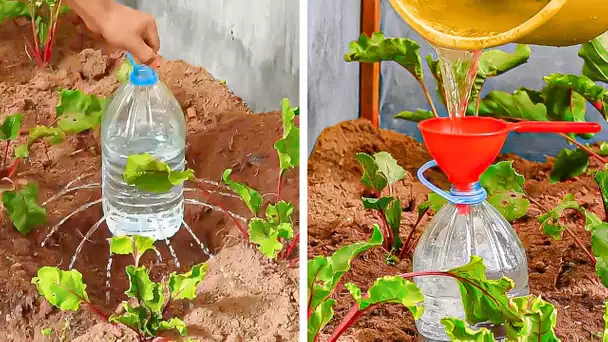 Astuces Cool pour faire pousser des plantes et gérer votre jardin