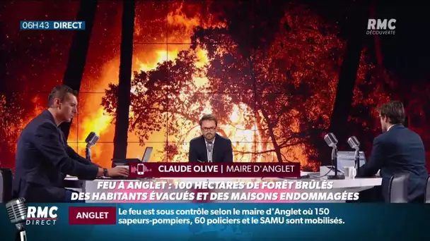Anglet: 100 hectares de pinède détruit dans un incendie