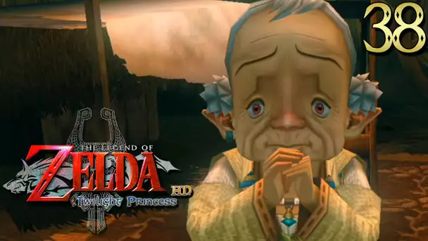 Zelda Twilight Princess HD #38 : IMPA