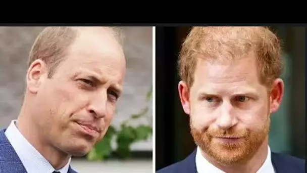 "Ça doit finir": William et Harry sont invités à enterrer la hache de guerre avec une querelle qui n