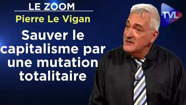 Comprendre Macron pour le combattre - Le Zoom - Pierre Le Vigan - TVL