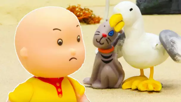 Caillou en Français | Caillou et la Mouette Géante | dessin animé en entier | NOUVEAU 2019