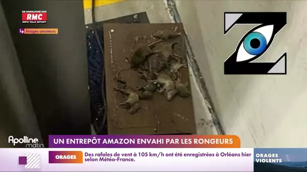 [Zap Télé] Invasion de rats, colis souillés : Les images choc d'un entrepôt d’Amazon (20/06/23)