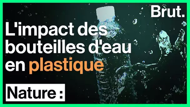 Les bouteilles d&#039;eau en plastique : une menace pour l&#039;environnement