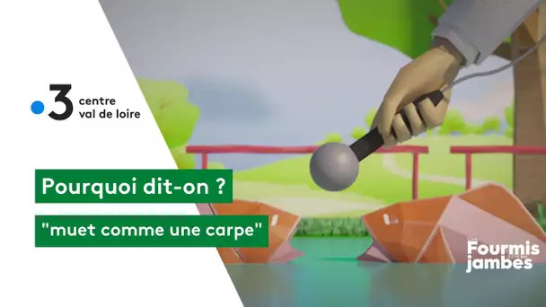 Pourquoi dit-on : muet comme une carpe !