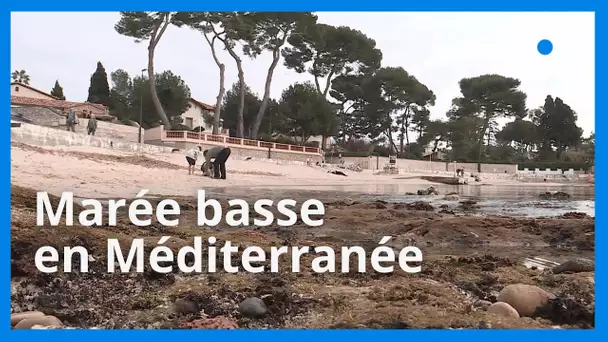 Méditerranée : une baisse du niveau de l'eau de 30 centimètres exceptionnelle