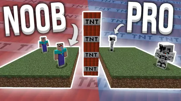 2 PROS VS 2 NOOBS AVEC DE LA TNT ! - TNT WARS