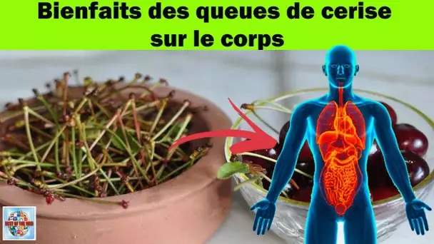 Bienfaits des queues de cerise sur le corps