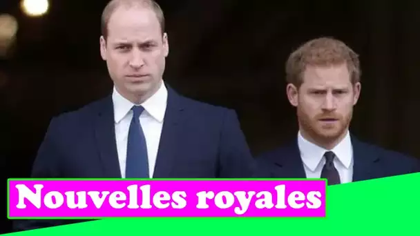 Le prince William sans frère Harry alors que la querelle royale s'intensifiait02571814