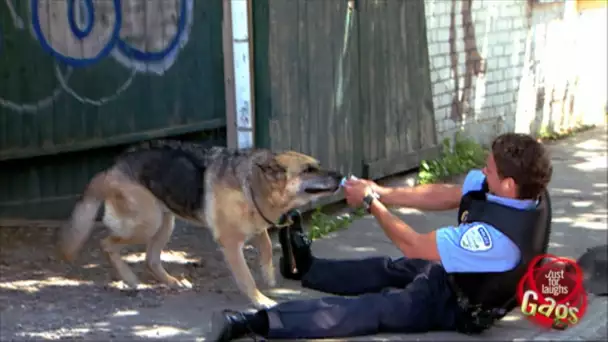 C&#039;est mon chien qui l&#039;a mangé!