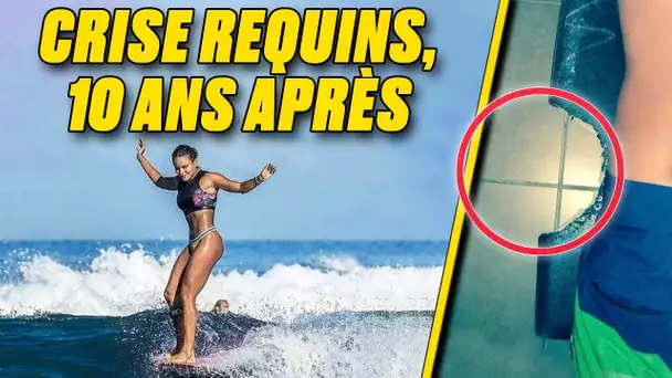 Crise des requins : le retour du surf à La Réunion