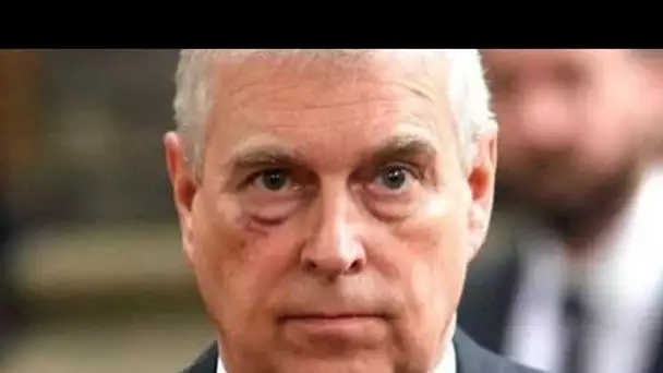 Le prince Andrew "n'effectue aucun travail caritatif" car les offres de réparation sont "bloquées"