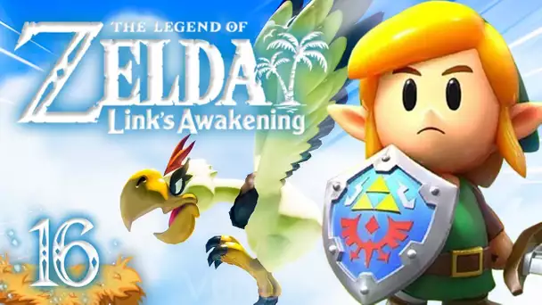 Zelda Link's Awakening HD : Tour du vautour ! #16