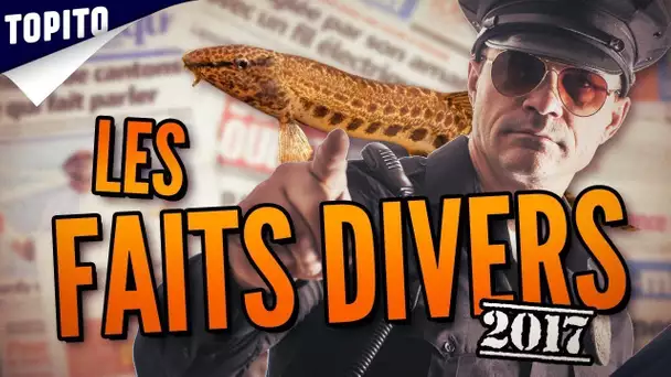 Top 5 des faits divers les plus débiles de 2017