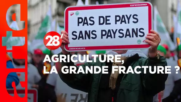 Agriculteurs français : des projets irréconciliables ? - 28 Minutes - ARTE