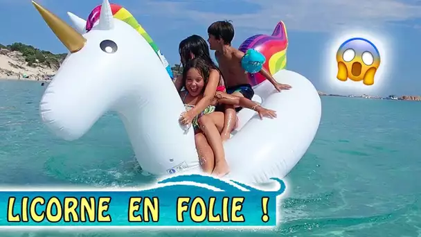 LICORNE EN FOLIE : Attention aux chutes ! 😂  / Vacances Corse été 2018