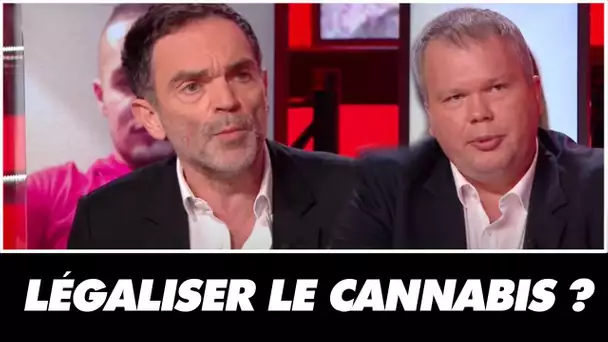 Doit-on légaliser le cannabis ?