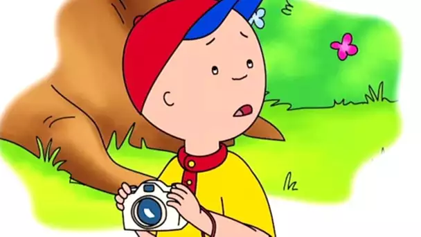 Caillou et la Photo Parfaite | Caillou en Français