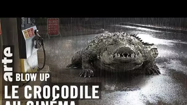 Le Crocodile au cinéma - Blow Up - ARTE