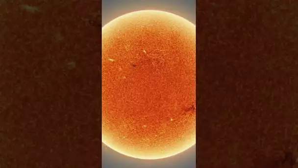 Voici l’image la plus détaillée du soleil ! #shorts