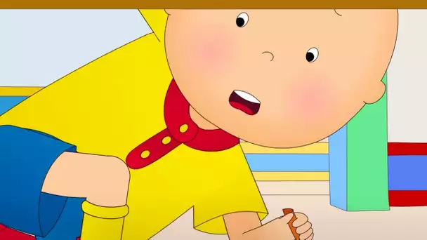 Caillou et L'animal Perdu | Caillou en Français