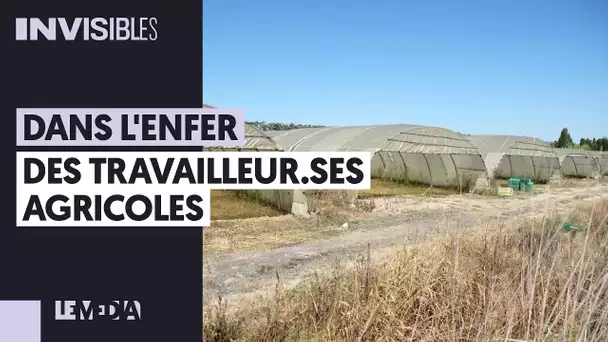 DANS L’ENFER DES TRAVAILLEUR.SES AGRICOLES