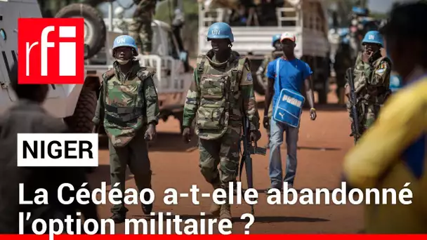 Niger : la Cédéao a-t-elle abandonné l’option militaire ?  • RFI