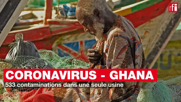 Ghana : 533 contaminations dans une seule usine