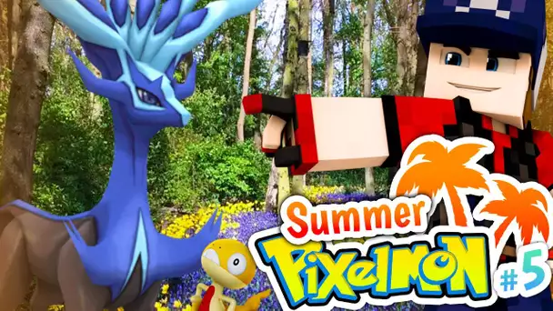 XERNEAS ! A l&#039;attaque ! ~ SUMMER PIXELMON 🌴5 - Newtiteuf