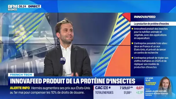 French Tech : Innovafeed produit de la protéine d'insectes