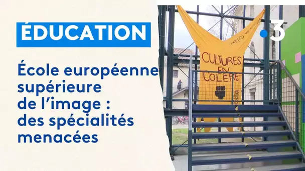 École de l'image à Angoulême : des spécialités menacées