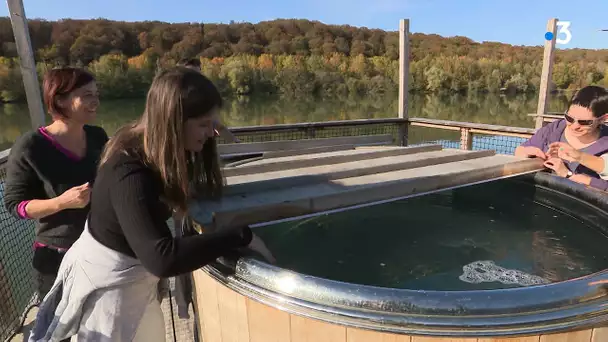 Haute-Saône : une nuit sur une cabane flottante au lac de Bonnal