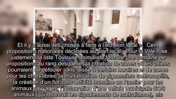 ✅  Municipales à Toulouse : les réponses du candidat animaliste Quentin Charoy