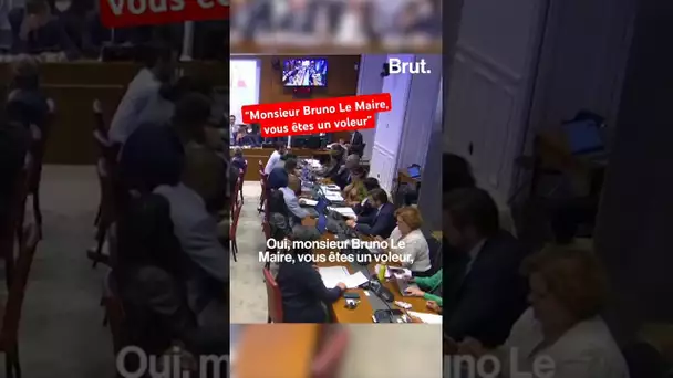 "Vous êtes un voleur" : passe d'armes à l'Assemblée pour la dernière audition de Bruno Le Maire