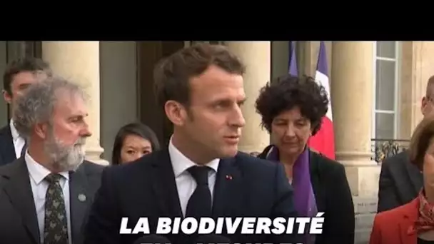 Les trois mesures d'Emmanuel Macron pour la biodiversité