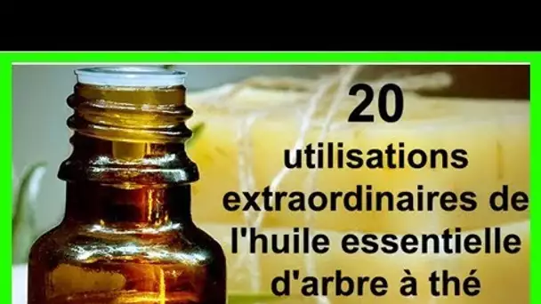 20 utilisations extraordinaires de l’huile essentielle d’arbre à thé