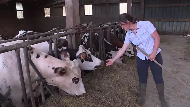 Le Skyr, un nouveau yaourt produit en Normandie