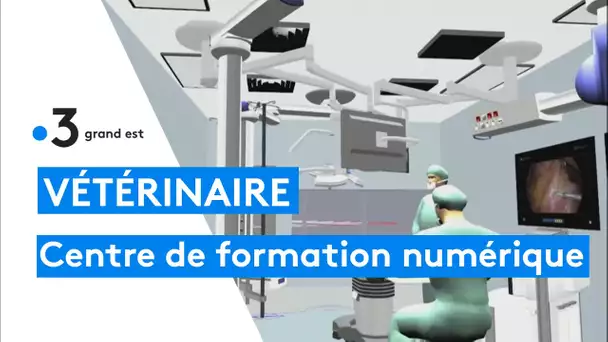 Présentation du futur centre de formation vétérinaire dédié aux nouvelles technologies