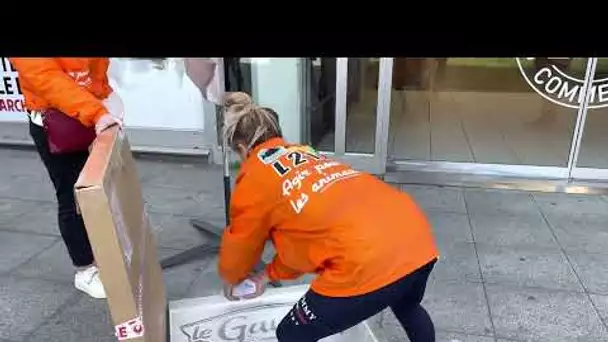 Rouen : les militants de L214 préparent leur action devant un supermarché