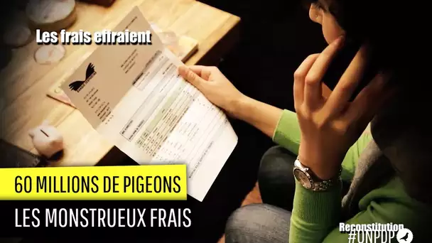 60 millions de Pigeons, les frais qui effraient