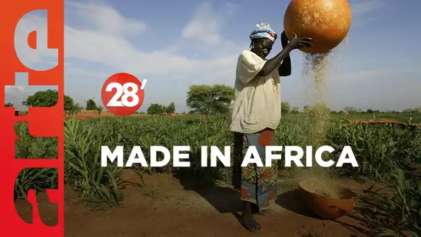 L’agriculture africaine, terre d’avenir | Kako Nubukpo - 28 minutes - ARTE