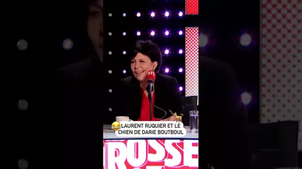 Laurent Ruquier et le chien de Darie Boutboul !